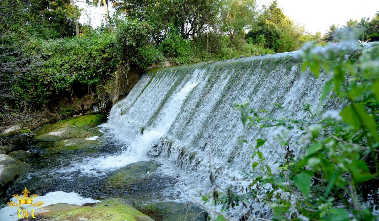 Royal Nature Resort Pollāchi Extérieur photo